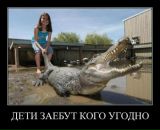 Богдан Посікіра фотография #7 (источник - https://vk.com/id58787466)