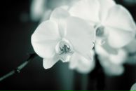 Фотография Садыковой Юлии