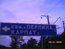 Вася Бородін фотография #25 (источник - https://vk.com/id161534143)