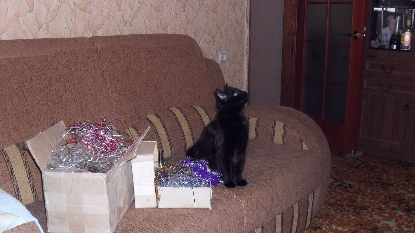 Дмитрий Клевцов фотография #7