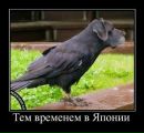 Еріка Ревуцька фотография #2 (источник - https://vk.com/id169530459)