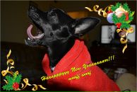 Olya Shepel фотография #40 (источник - https://vk.com/id679910)