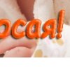 Юлия Лоік фотография #33 (источник - https://vk.com/id144286088)