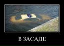 Валік Іричук фотография #7 (источник - https://vk.com/id158712929)