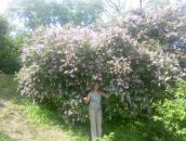 Лідія Лупина фотография #26 (источник - https://vk.com/id150296004)