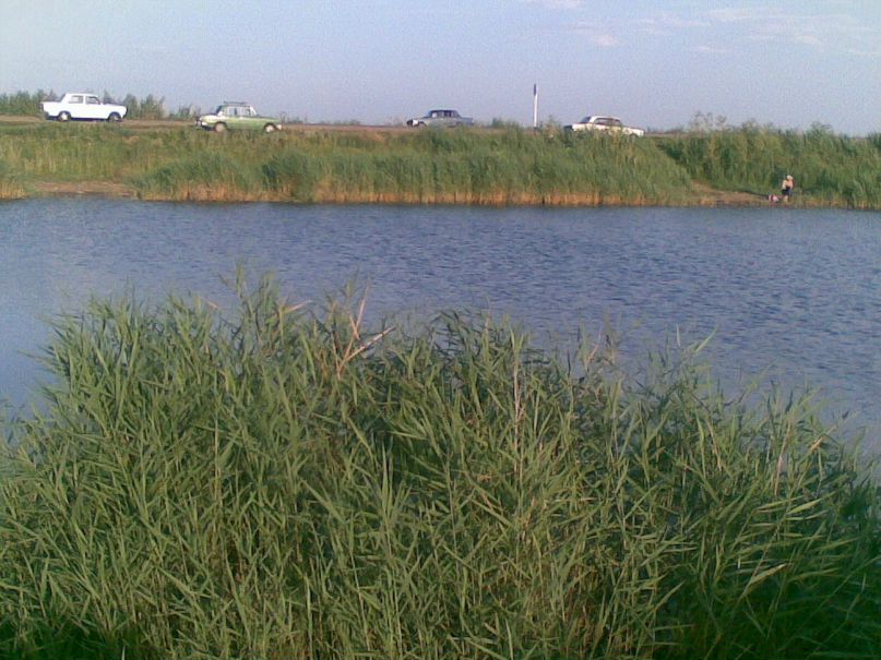 Олег Костенко фотография #33