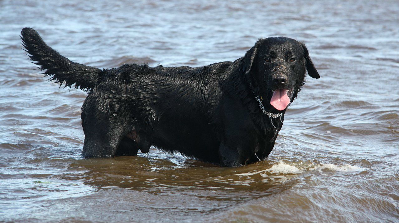 Даниил Сидоров фотография #22