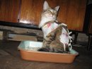 Катя Fr фотография #35 (источник - https://vk.com/id642052)