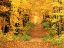 Аліна Андрієвська фотография #6 (источник - https://vk.com/id42367210)
