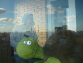 Фотография Самариной Валерии