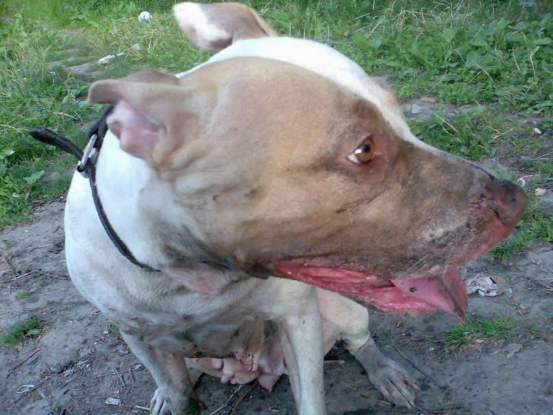 Дмитрий Асеев фотография #35