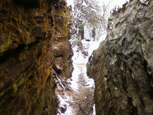 Дмитрий Берёзка фотография #12