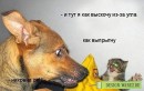 Nаталія Nаталія фотография #50 (источник - https://vk.com/id54485185)