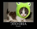 Nаталія Nаталія фотография #29 (источник - https://vk.com/id54485185)
