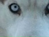 Владислав Матвеев фотография #17 (источник - https://vk.com/id19483890)