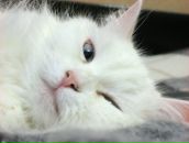 Фотография Мешковой Ларисы