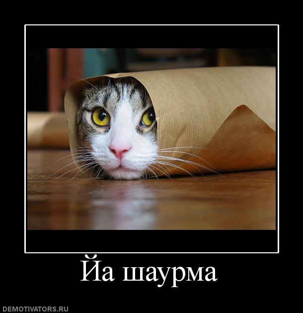 Сергей Беляев фотография #1