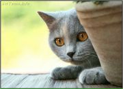 Фотография Чуровой Татьяны