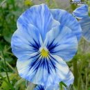 Артем Кольба фотография #36 (источник - https://vk.com/id12217629)