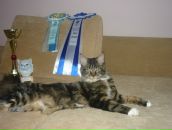 Фотография Коцур Евгении