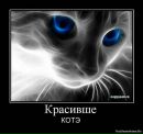Jez Hunter фотография #41 (источник - https://vk.com/id21623918)