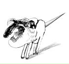 Юрій Дригайло фотография #21 (источник - https://vk.com/id2790845)