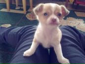 Фотография Пергата Андрея