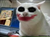 Фотография Дмитрова Дмитрия