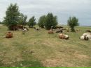 Василь Кузів фотография #30 (источник - https://vk.com/id68974023)