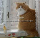 Иришка Венцова фотография #5 (источник - https://vk.com/id4664078)