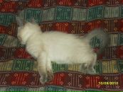 Фотография Родионовой Алёнки