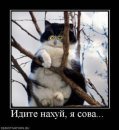 Костянтин Огороднік фотография #20 (источник - https://vk.com/id11103382)