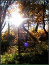 Фотография Константиновой Ирины