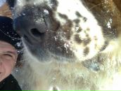 Ростик Романовскій фотография #10 (источник - https://vk.com/id69704455)