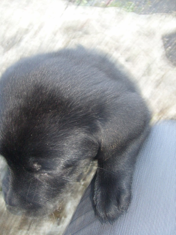 Дмитрий Белый фотография #29