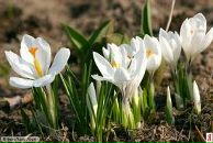 Фотография Казаковой Елены