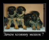 Сергій Кедись фотография #36 (источник - https://vk.com/id34029172)