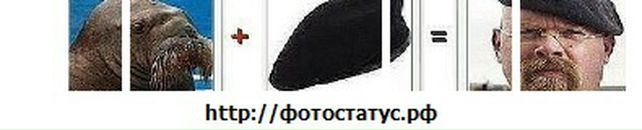 Євген Білаус фотография #24 (источник - https://vk.com/id30470355)