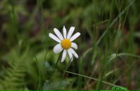 Валерій Шевчук фотография #21 (источник - https://vk.com/id28962214)