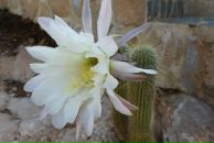 Фотография Логачевой Лены