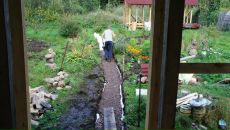 Дмитрий Крамарев фотография #8 (источник - https://vk.com/id274882)