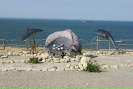 Марина Шушуева фотография #12 (источник - https://vk.com/id10155879)