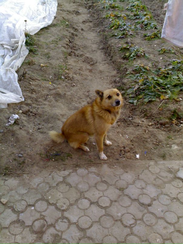 Александр Чабан фотография #25