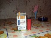 Фотография Бородинова Артема