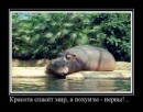 Сергей Лях фотография #40 (источник - https://vk.com/id14270446)
