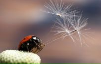 Фотография Рязанцевой Анастасии