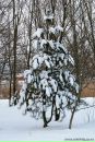 Олег Скуйбіда фотография #39 (источник - https://vk.com/id41536667)