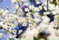 Даша Штіль фотография #9 (источник - https://vk.com/id49061669)