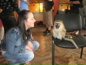 Фотография Смирновой Валерии