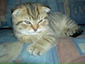 Фотография Зиминой Дарьи